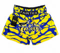 FAIRTEX FIGHT SHORT